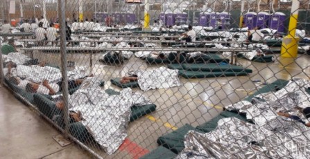 Screen Shot 2018-06-19 at 11.43.39 AM.jpg